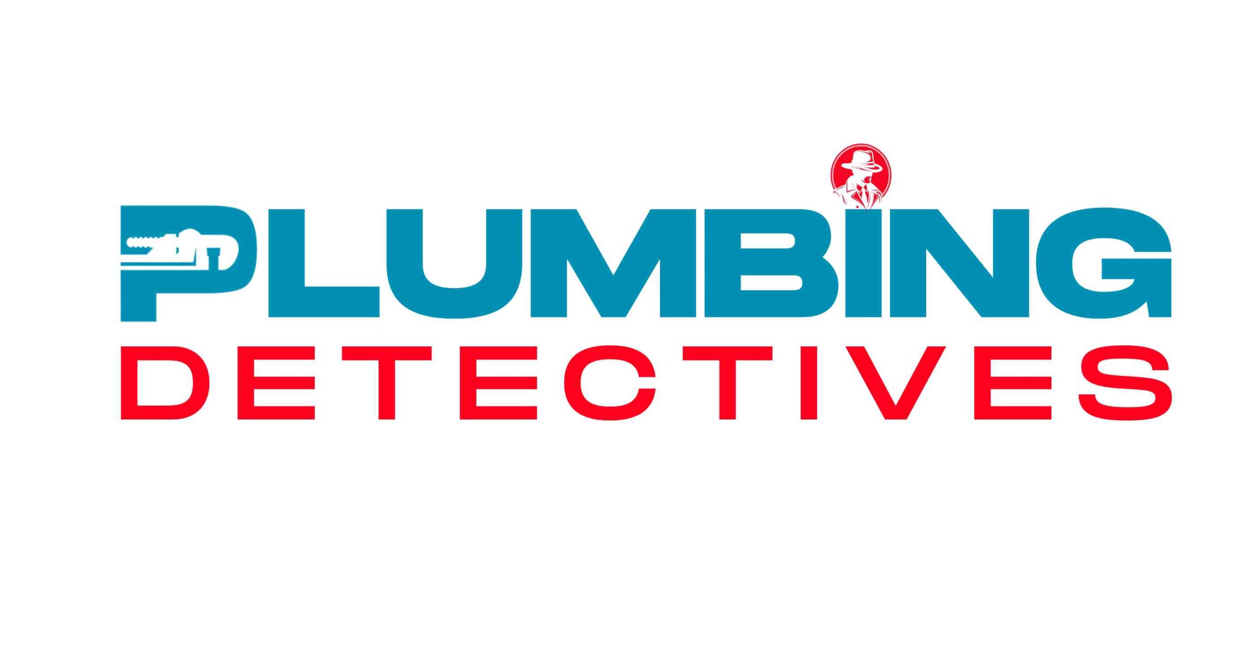 PD Full Logo 2024